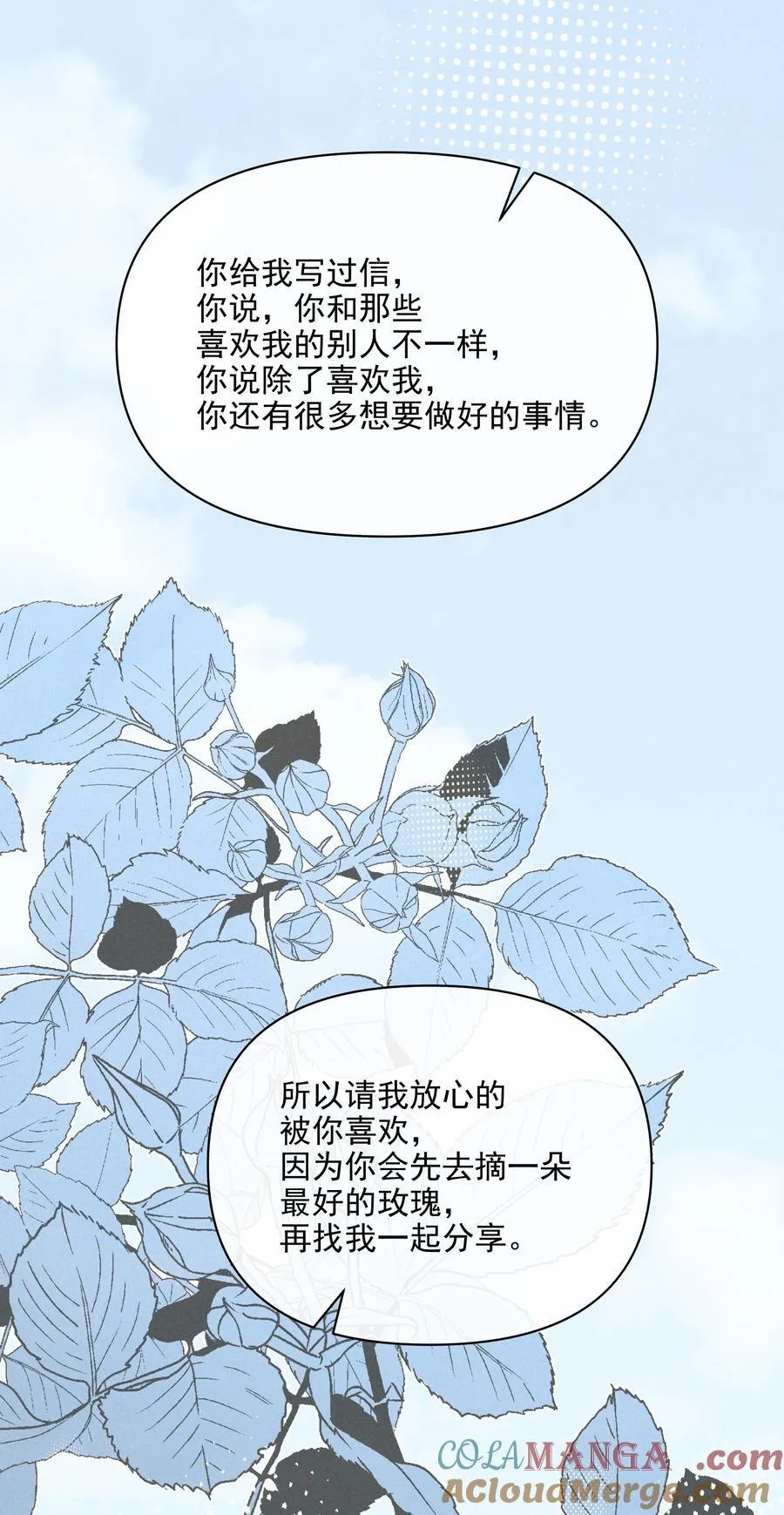 64 玫瑰6