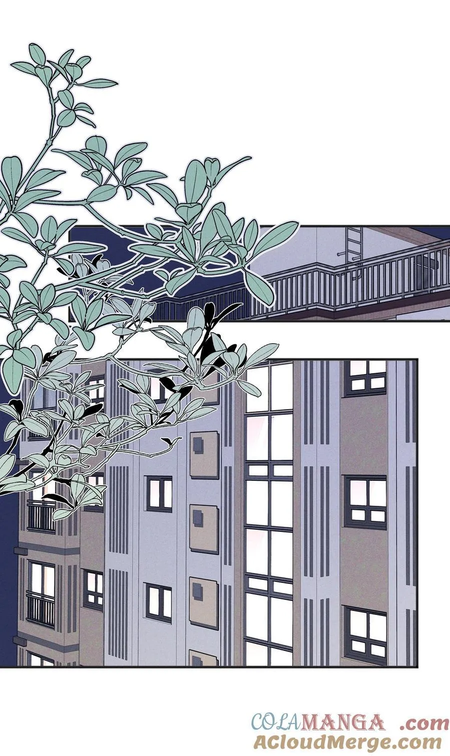 62 你的愿望实现了吗14