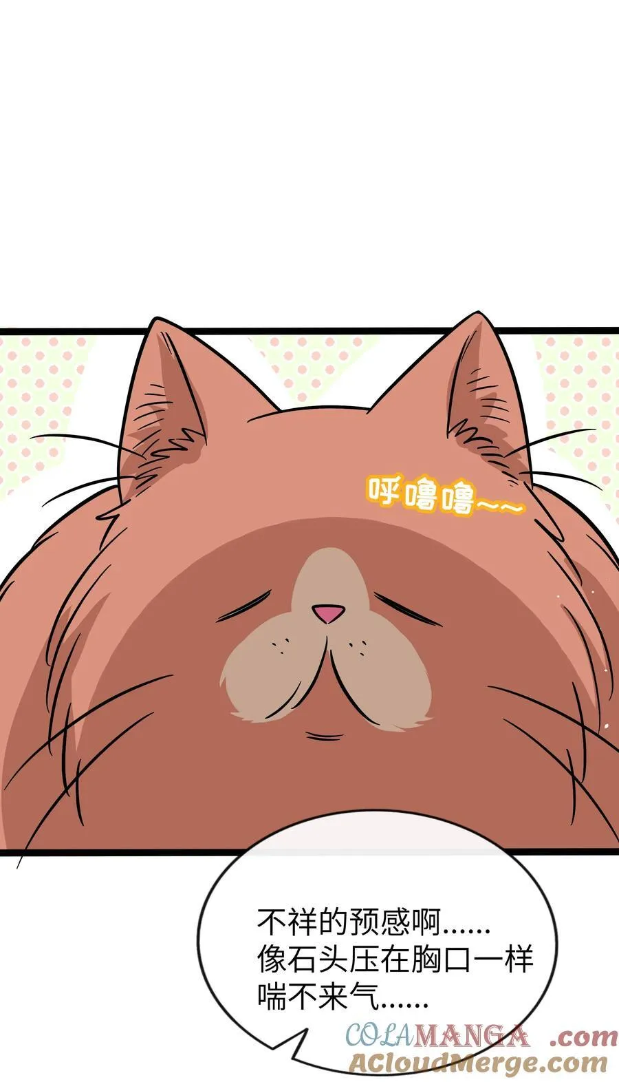 090 自定义计划15