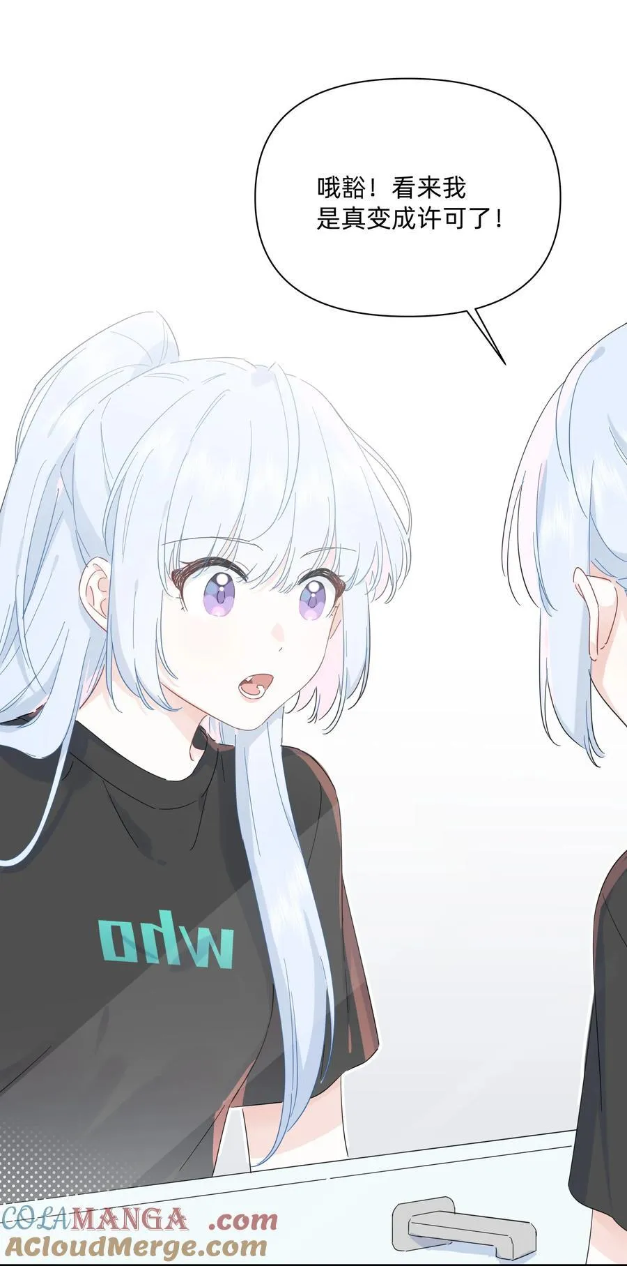 043 两个许可2