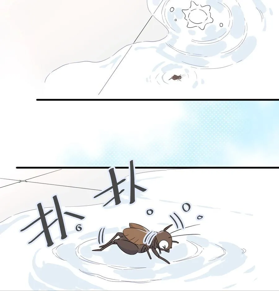 039 罐中促织，笼中雀19