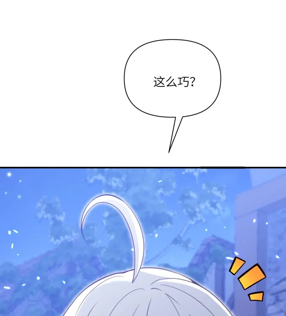 63 举报者37