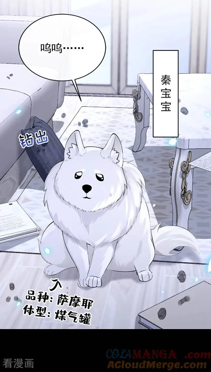 第104话 把你的狗接走！16