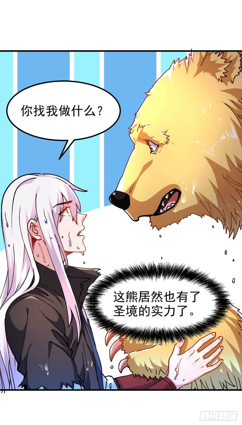 第166话 熊熊出没32