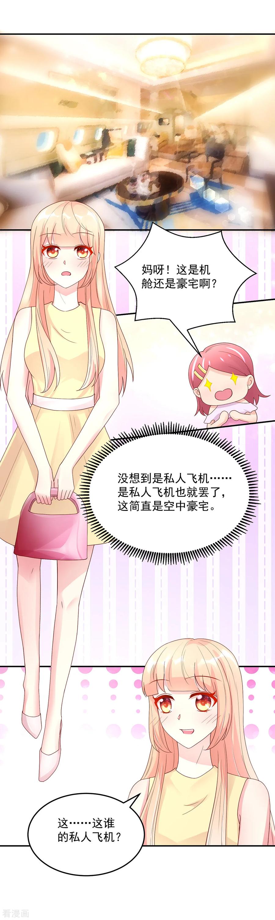第216话 总裁的，私人飞机6