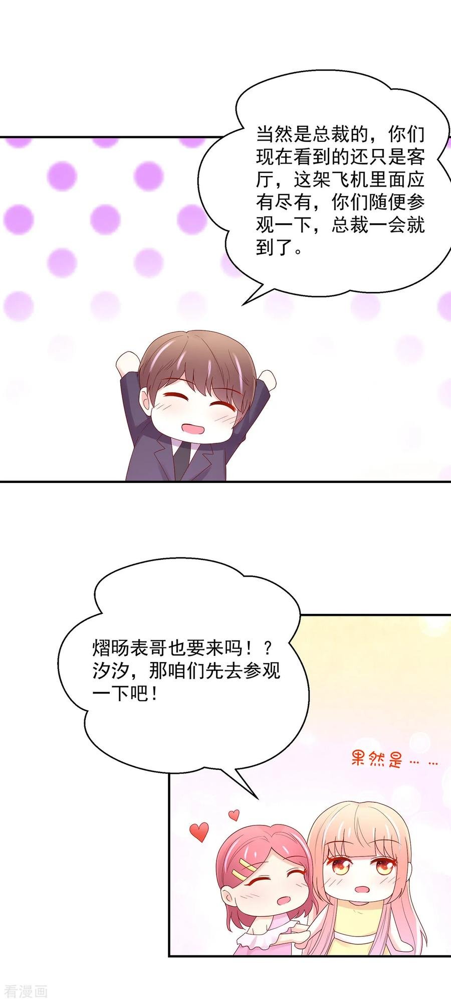 第216话 总裁的，私人飞机7