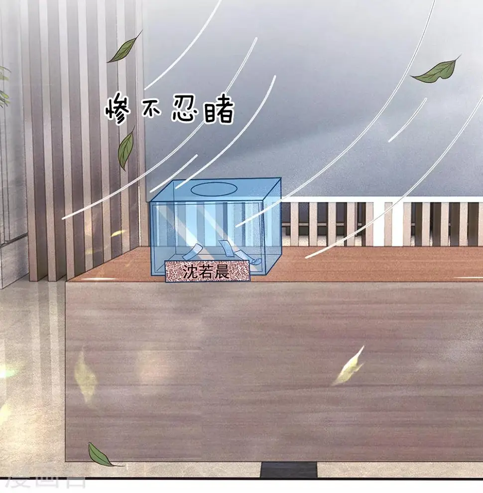 第155话 向他求助13