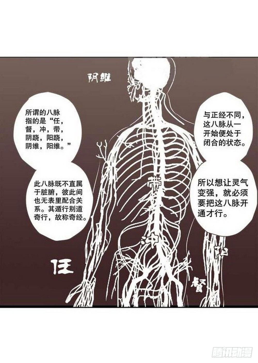 第8章 奇经八脉 0210