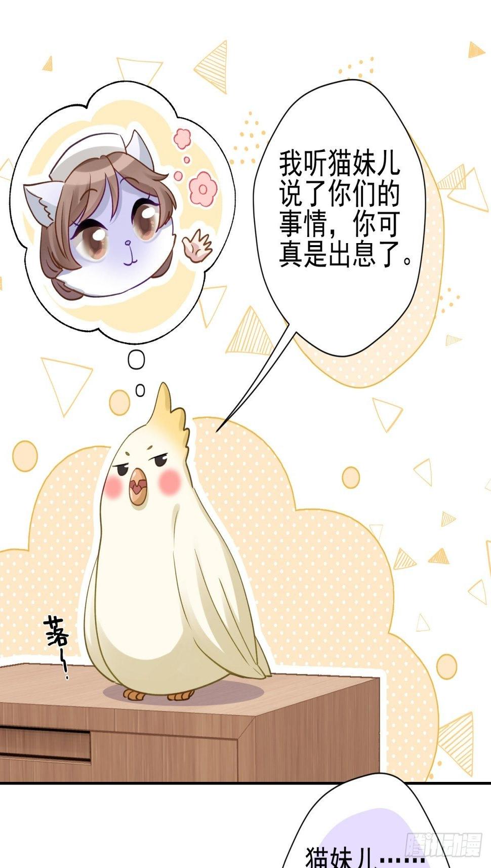 22 陪我看会儿星星吧23
