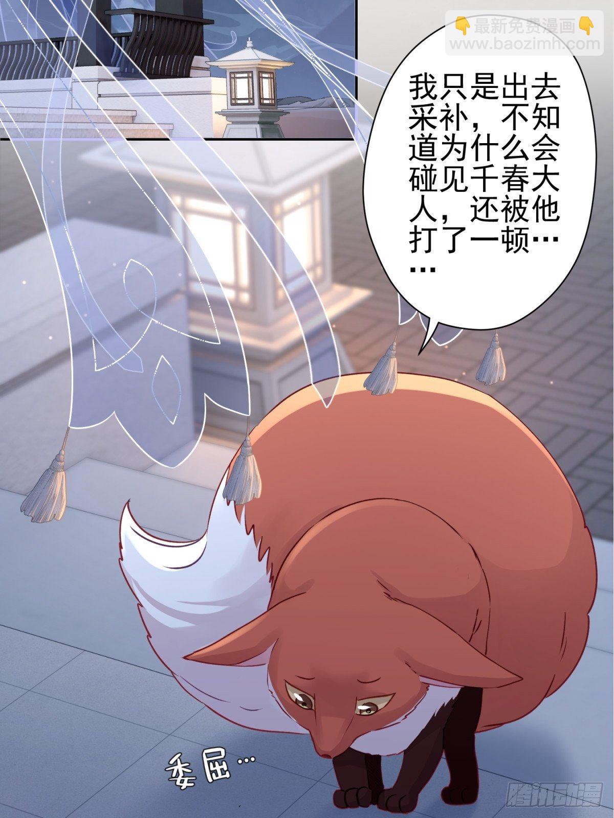 15 我会护你周全4