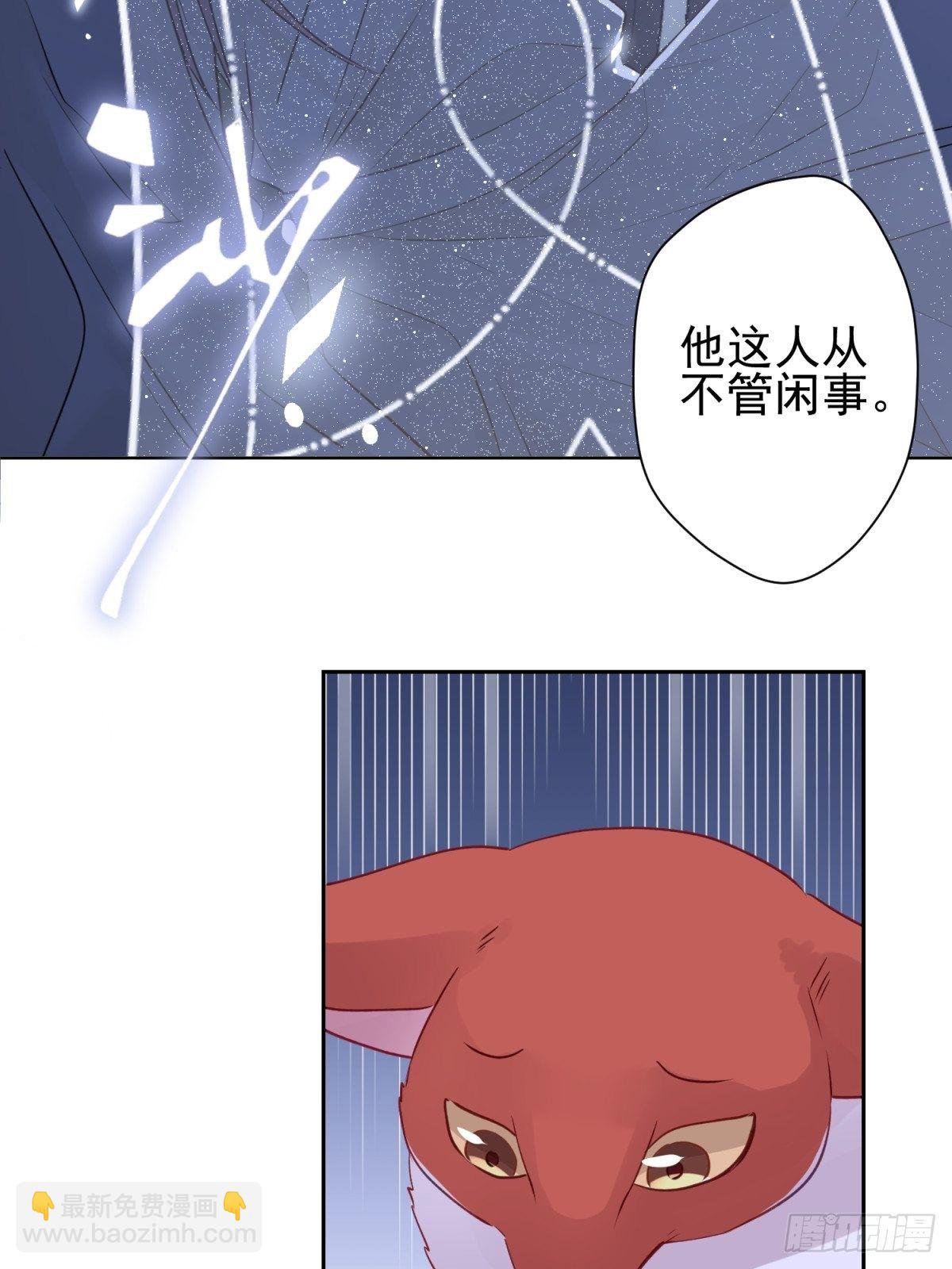 15 我会护你周全7