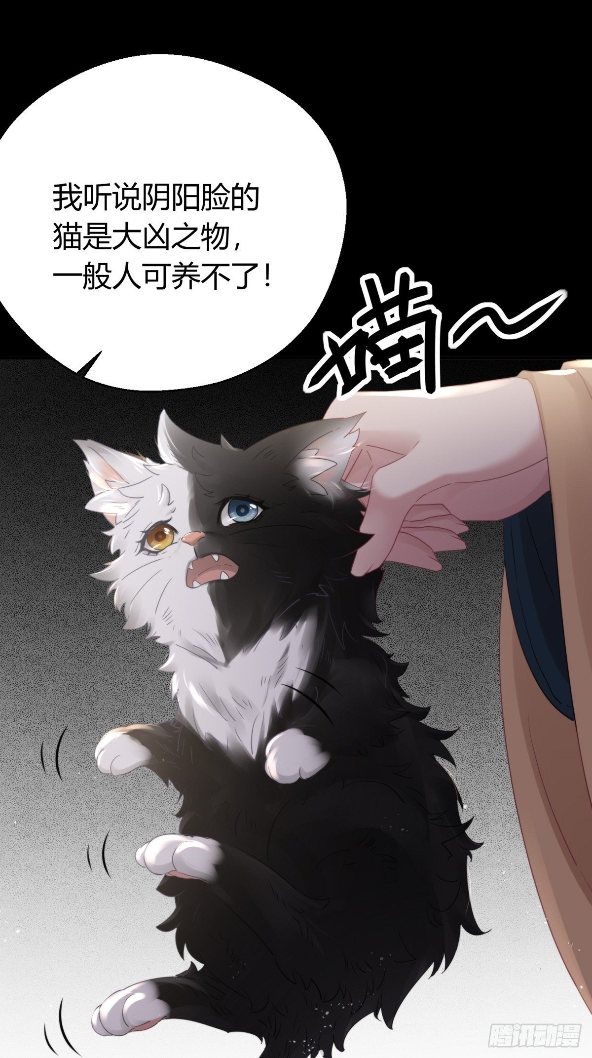 第四十四话   前尘22