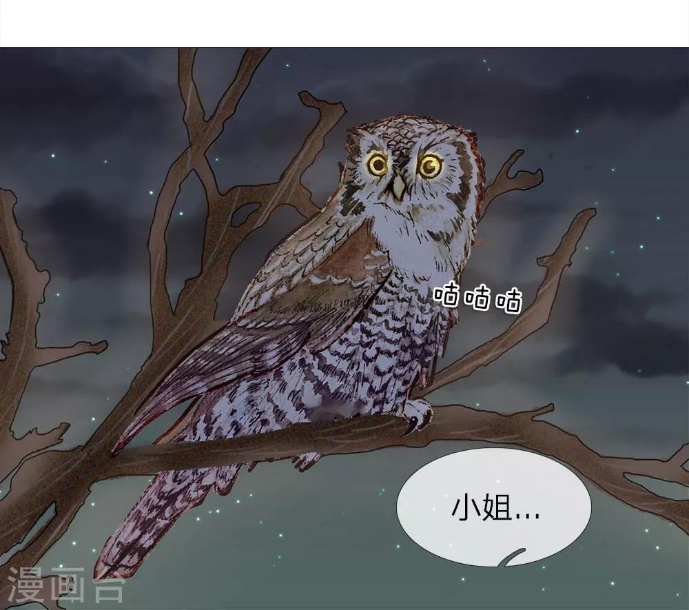 第84话 再次出逃7