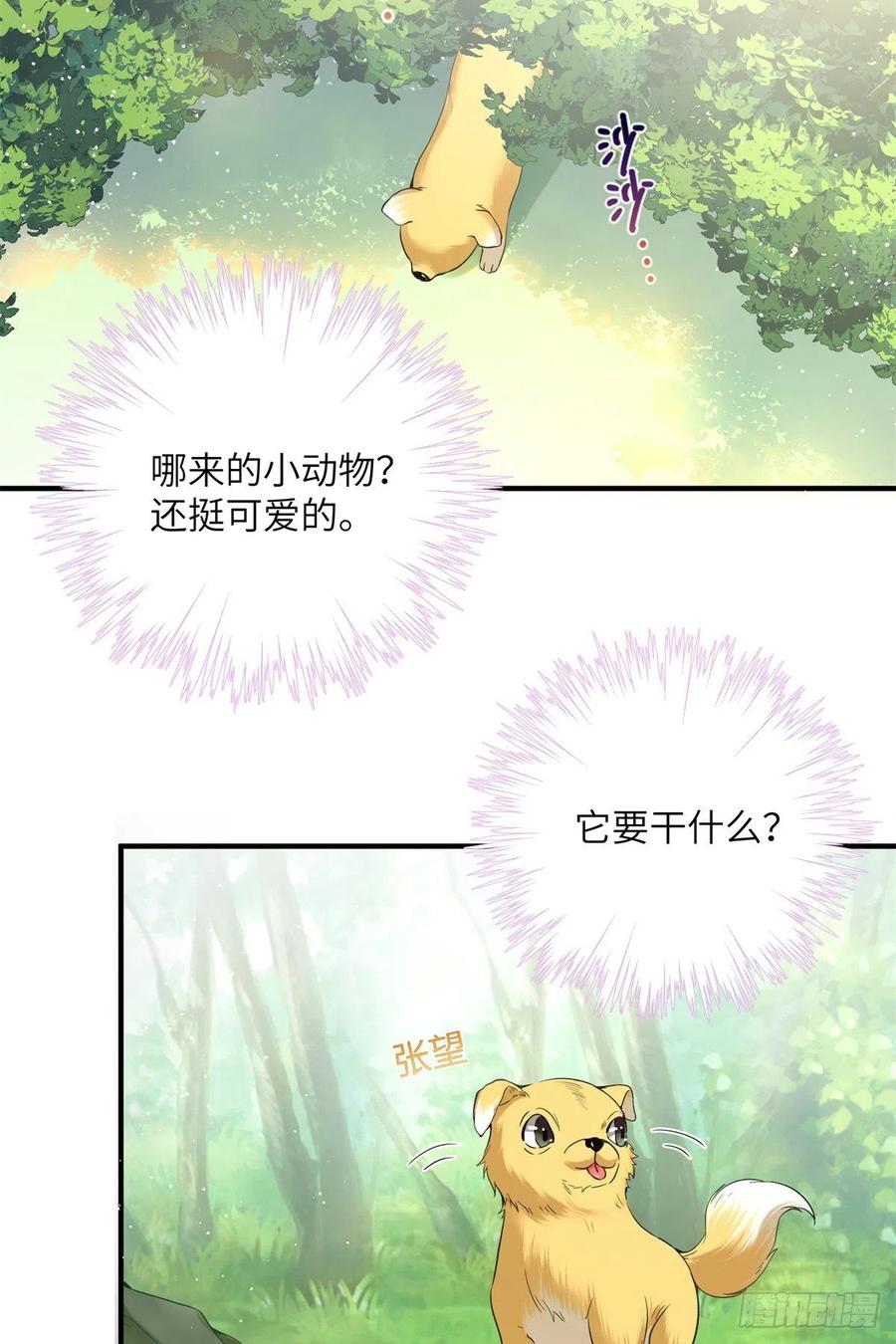 052 我变成树了3