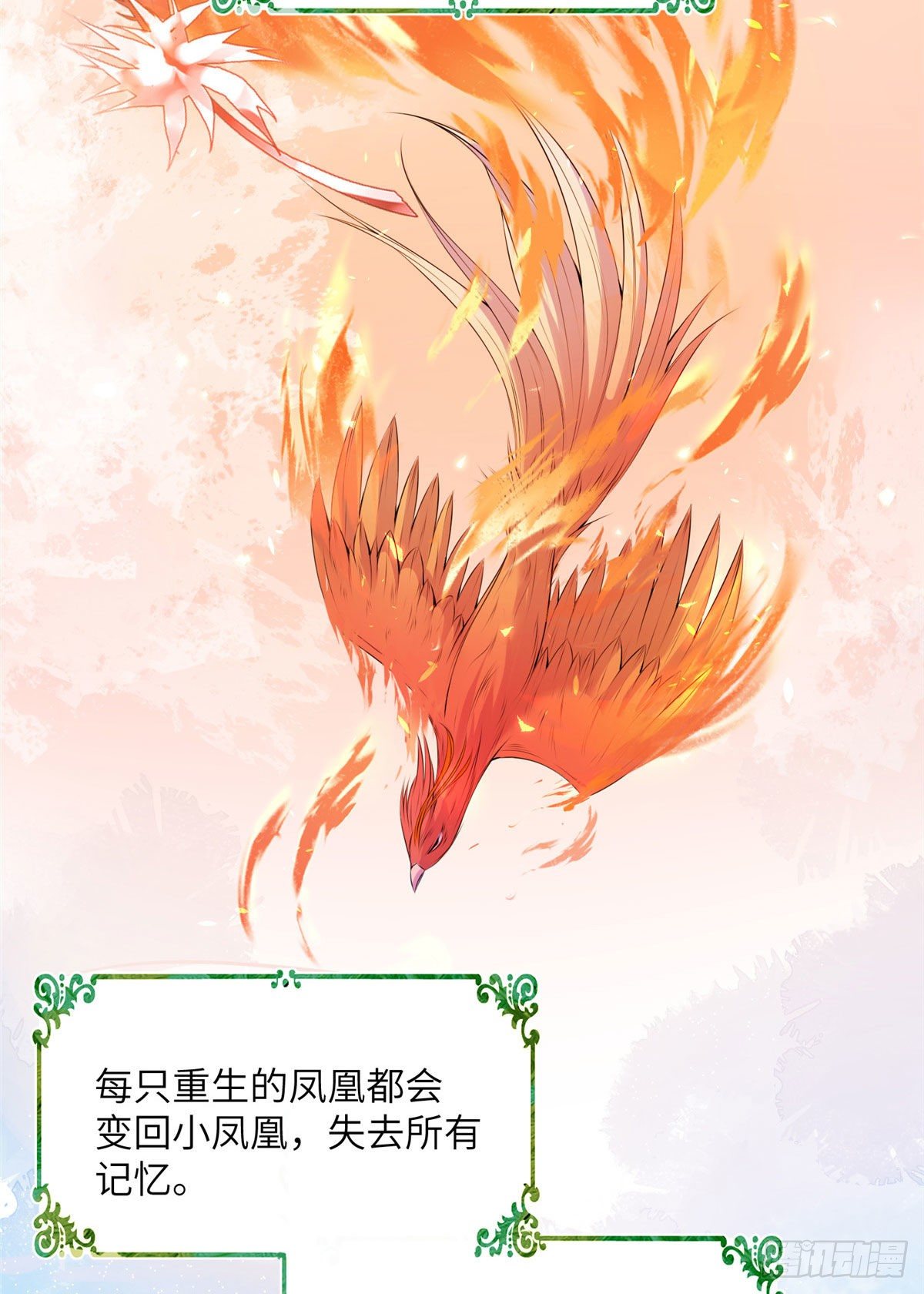 24 是什么蛋4
