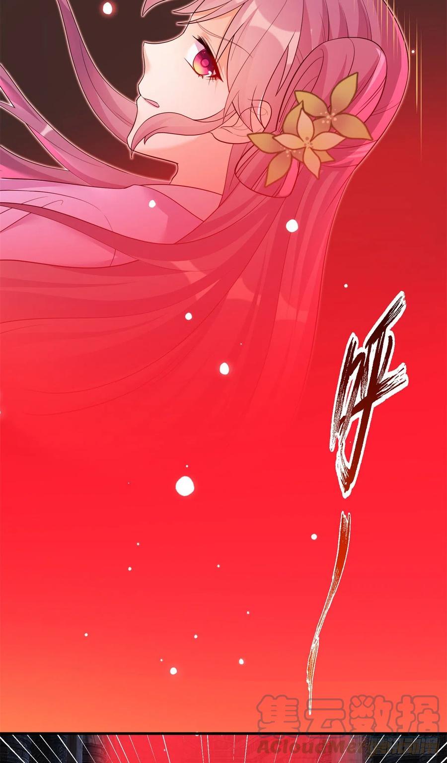 061 又见芝麻3