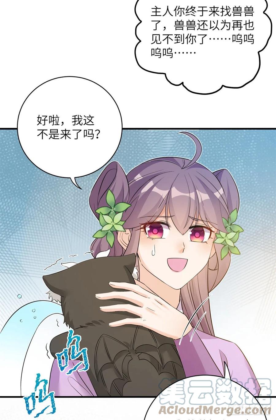 061 又见芝麻36