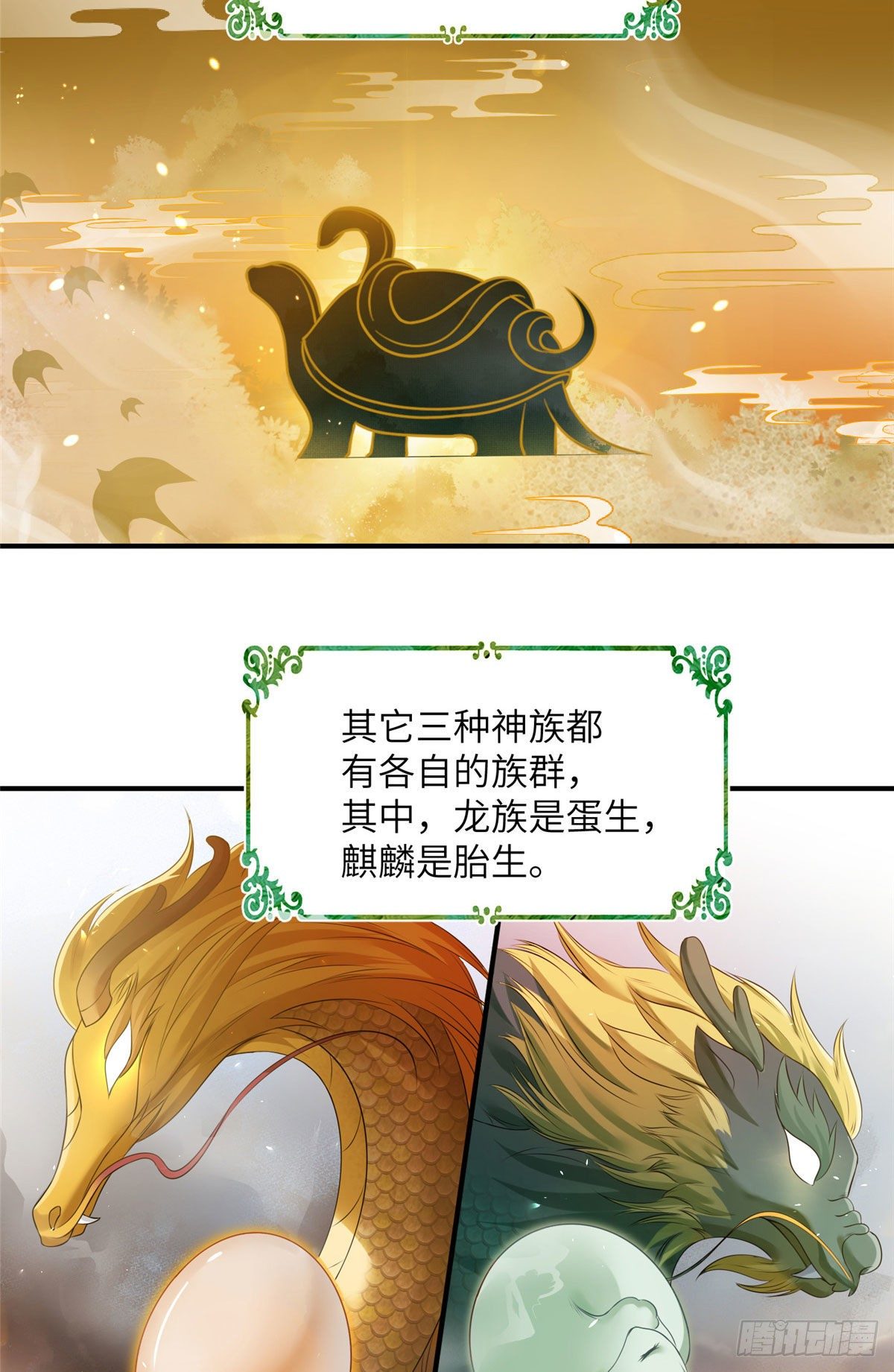 24 是什么蛋2
