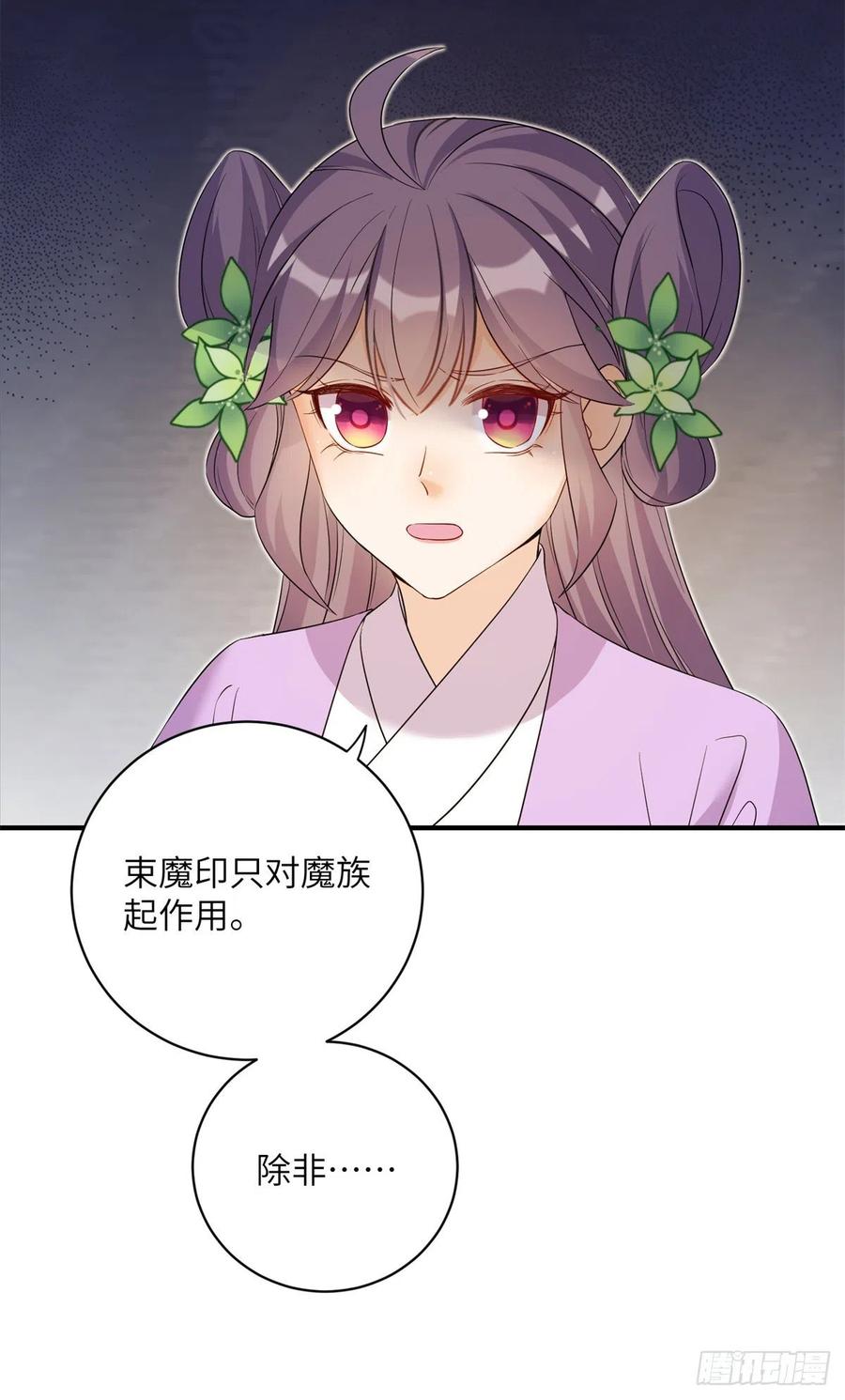 061 又见芝麻47