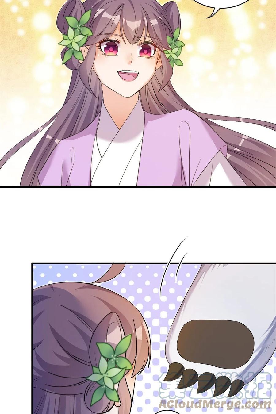 061 又见芝麻21