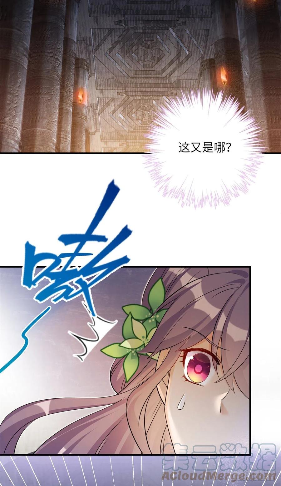 061 又见芝麻6