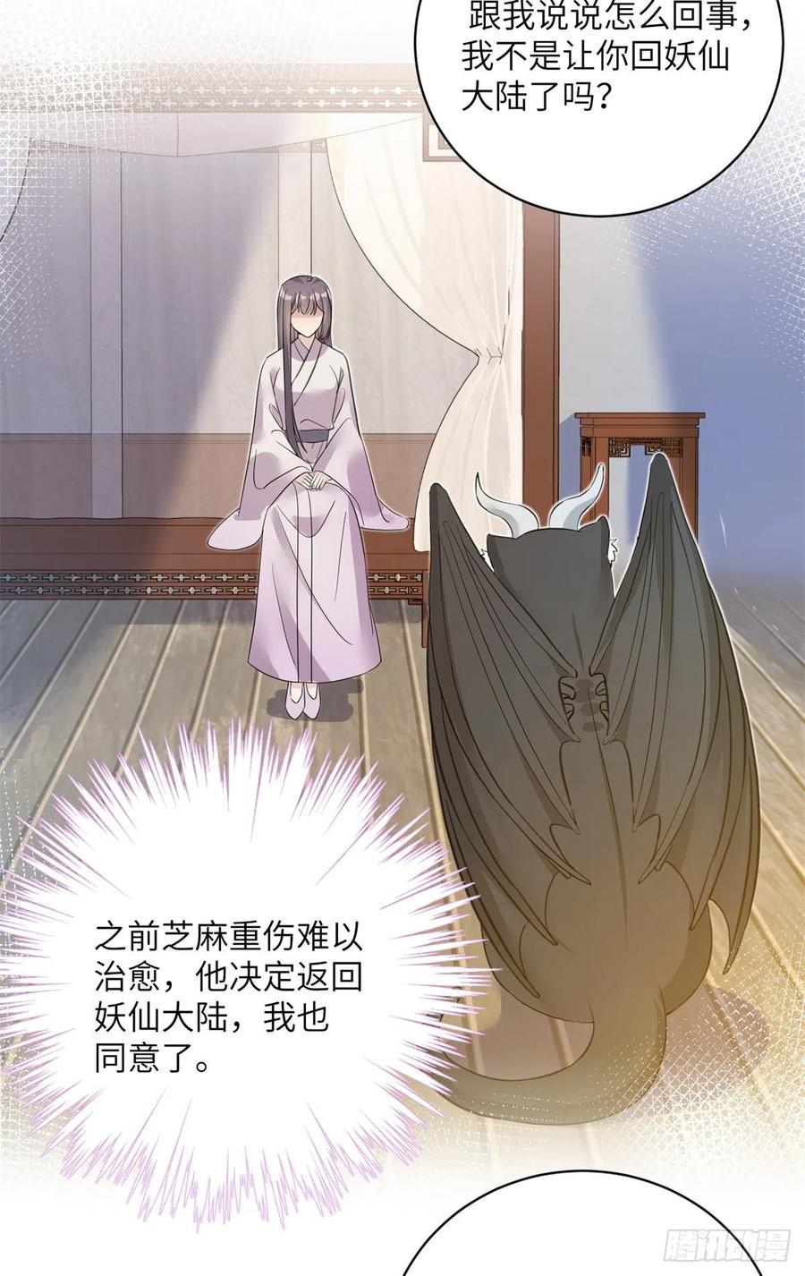 061 又见芝麻37