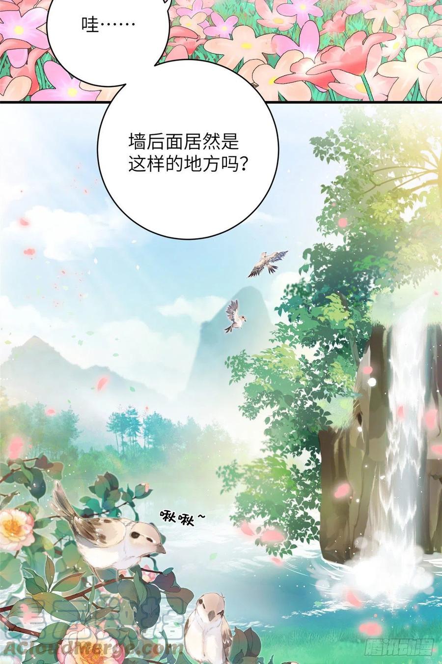 63 强行结丹2