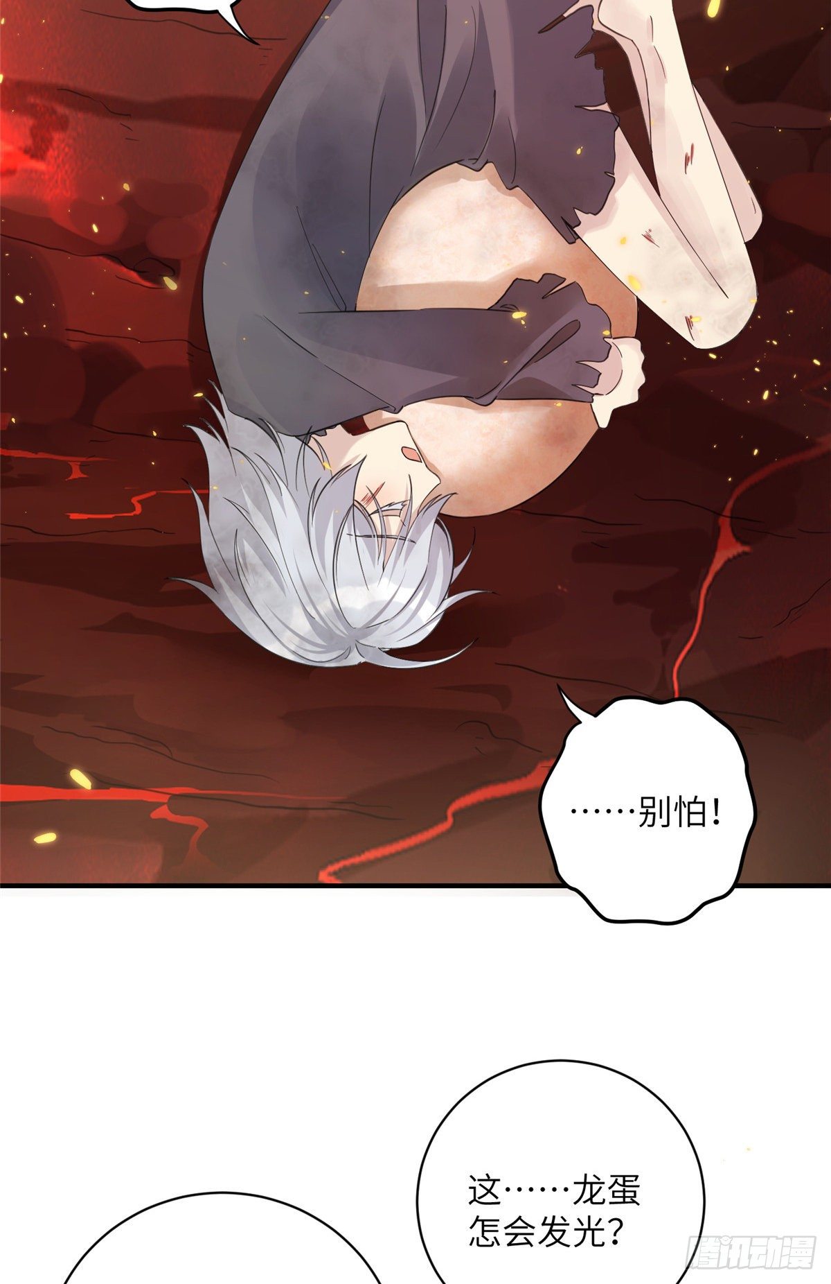 23 凤凰和龙38