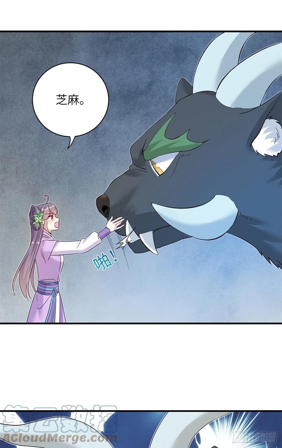 061 又见芝麻33