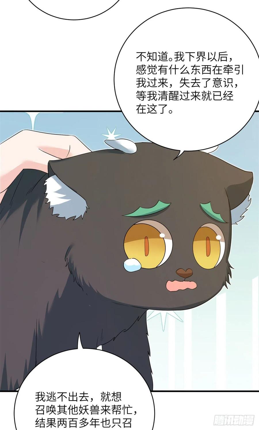 061 又见芝麻43