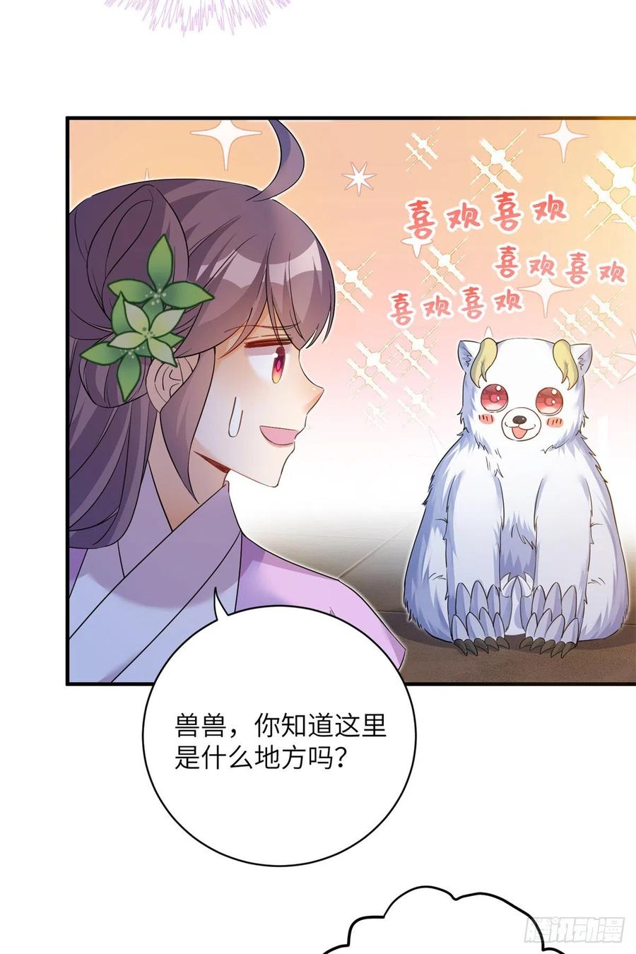 061 又见芝麻17