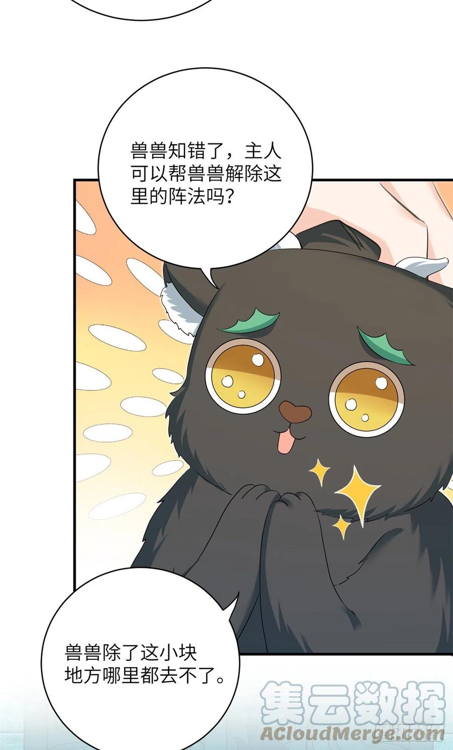 061 又见芝麻45