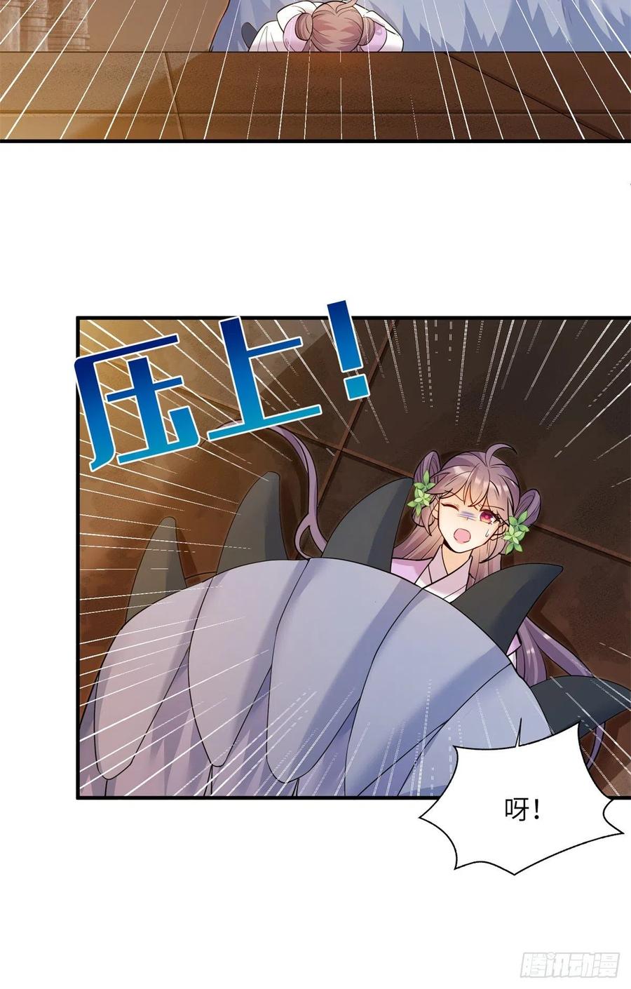 061 又见芝麻8