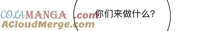 152 寻找沈家二小姐9