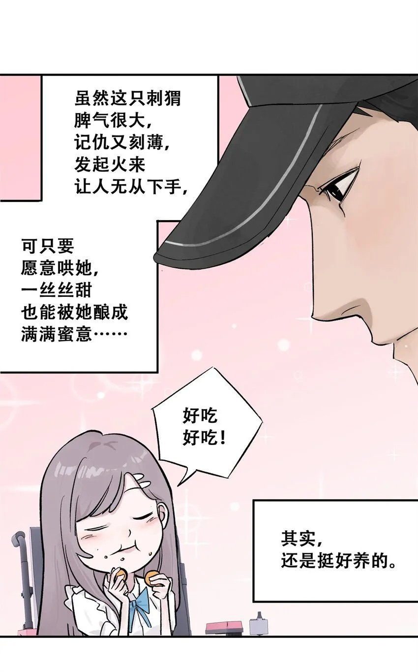 61 又是迷雾22