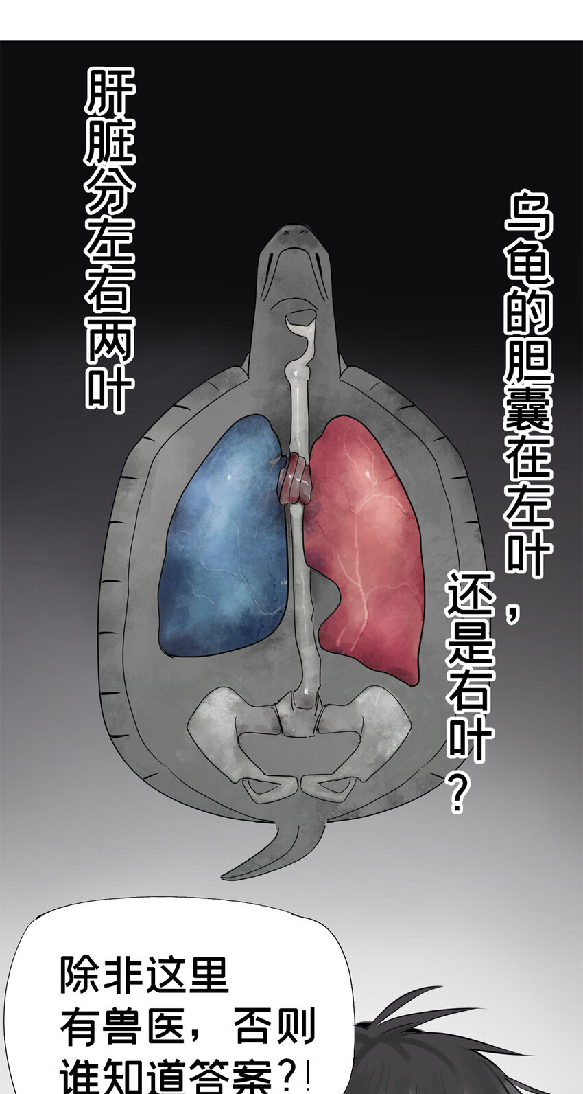 04 你死我活29
