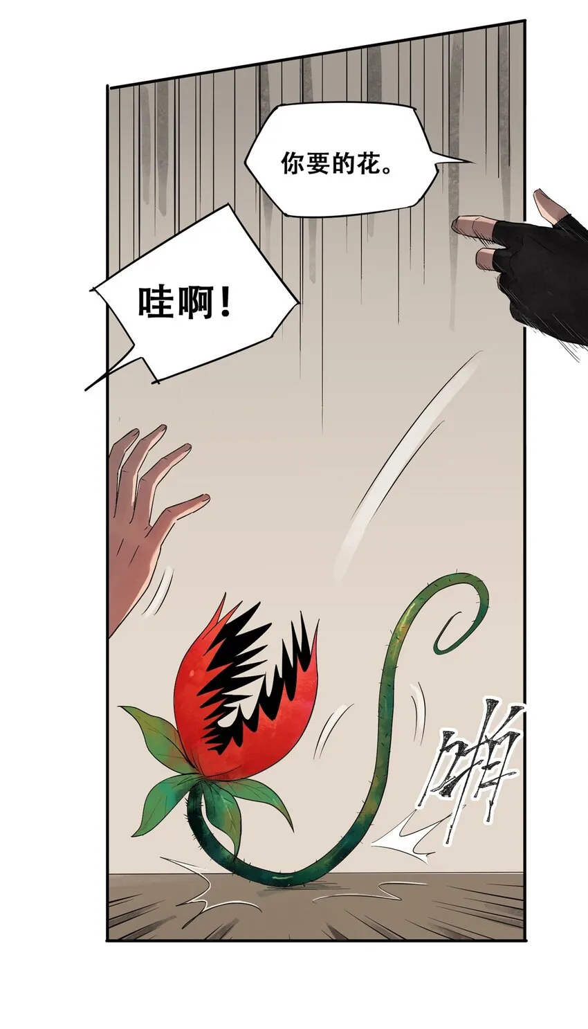 55 沈墨，归来！44