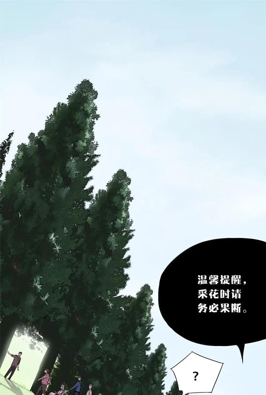 51 致命花海11