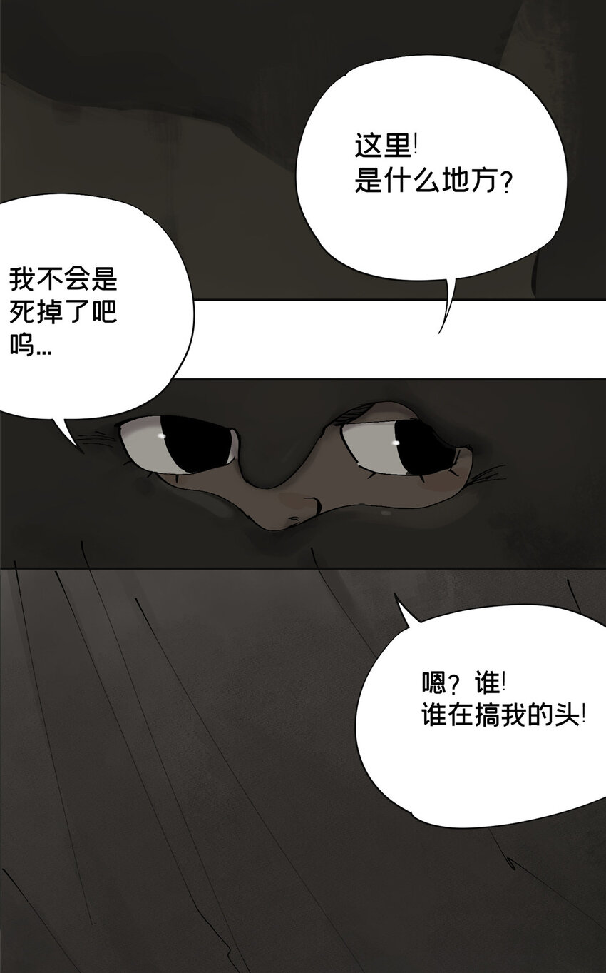 17 青蛙的金球3