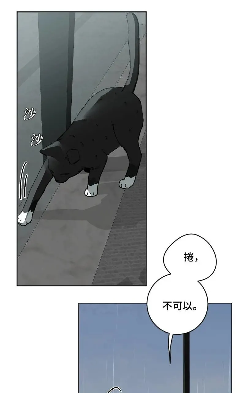 第52话1