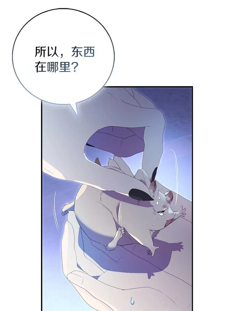 79.确认圣力35