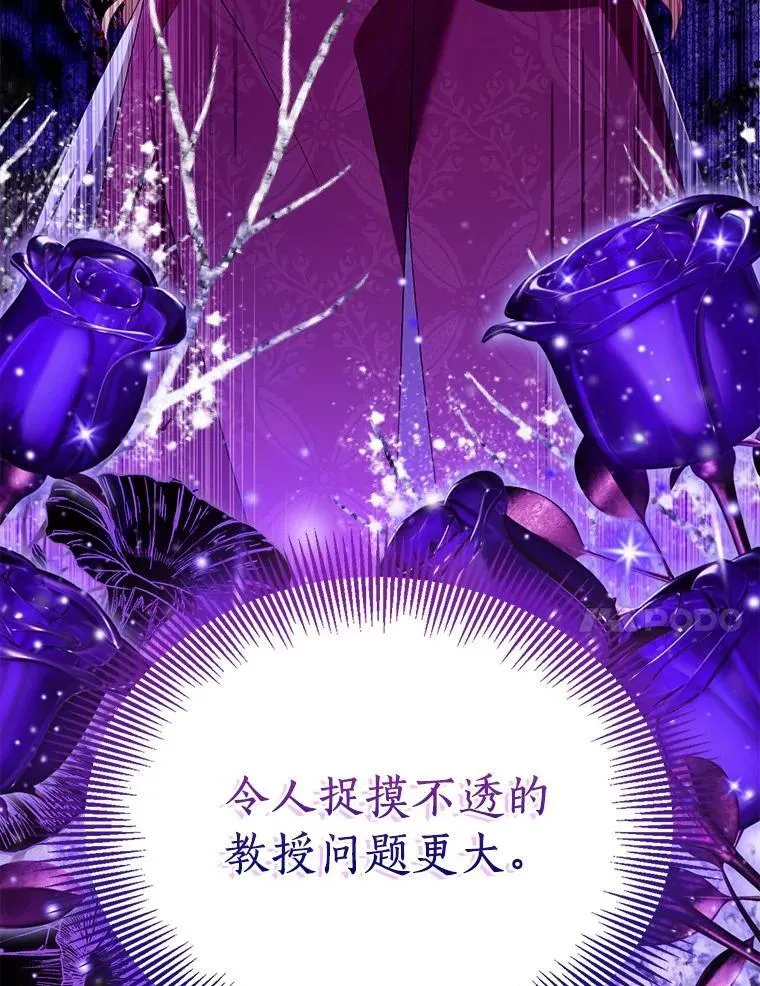 91.轻启面纱147