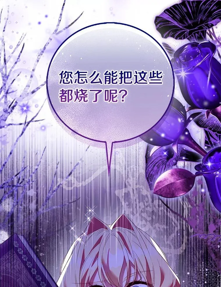 91.轻启面纱145