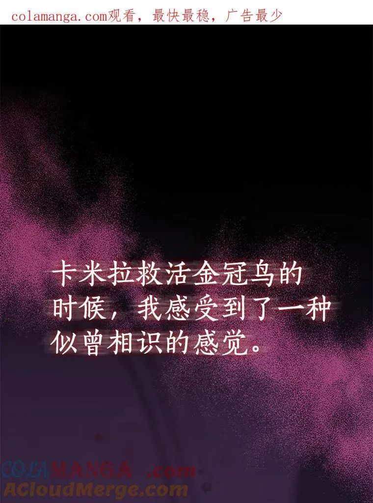 80.迷雾散开0
