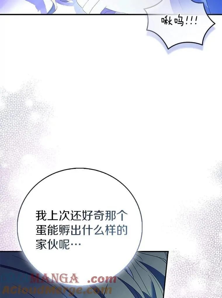79.确认圣力24