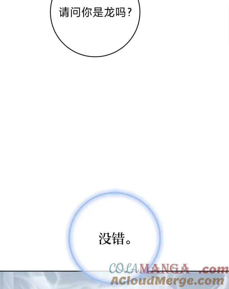 73.三次机会52
