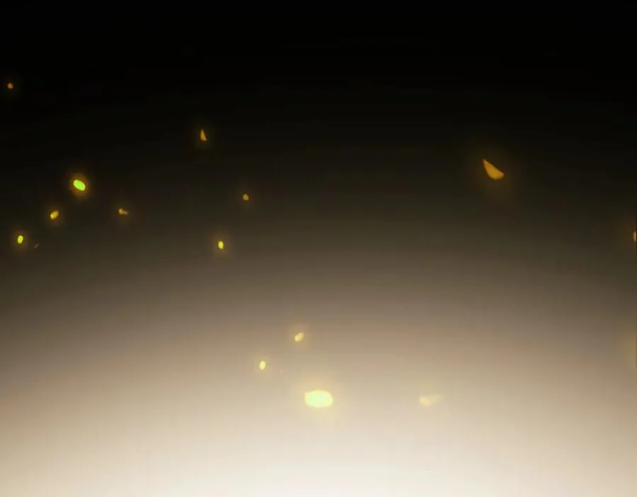 第71话 没完没了虎先锋一家55