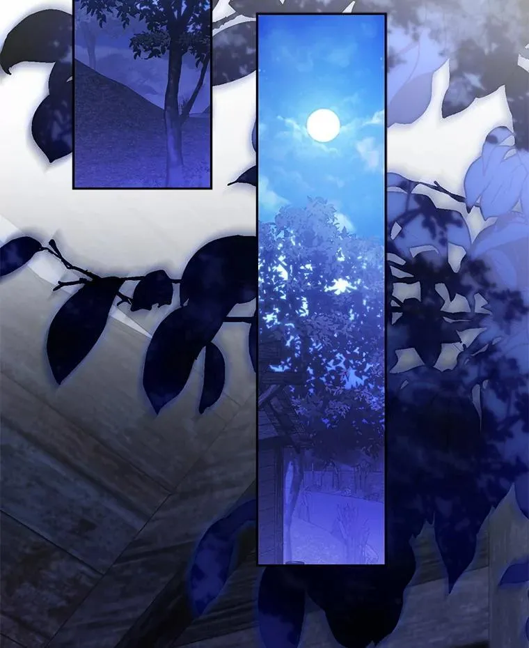 49.幽兰暗秾19