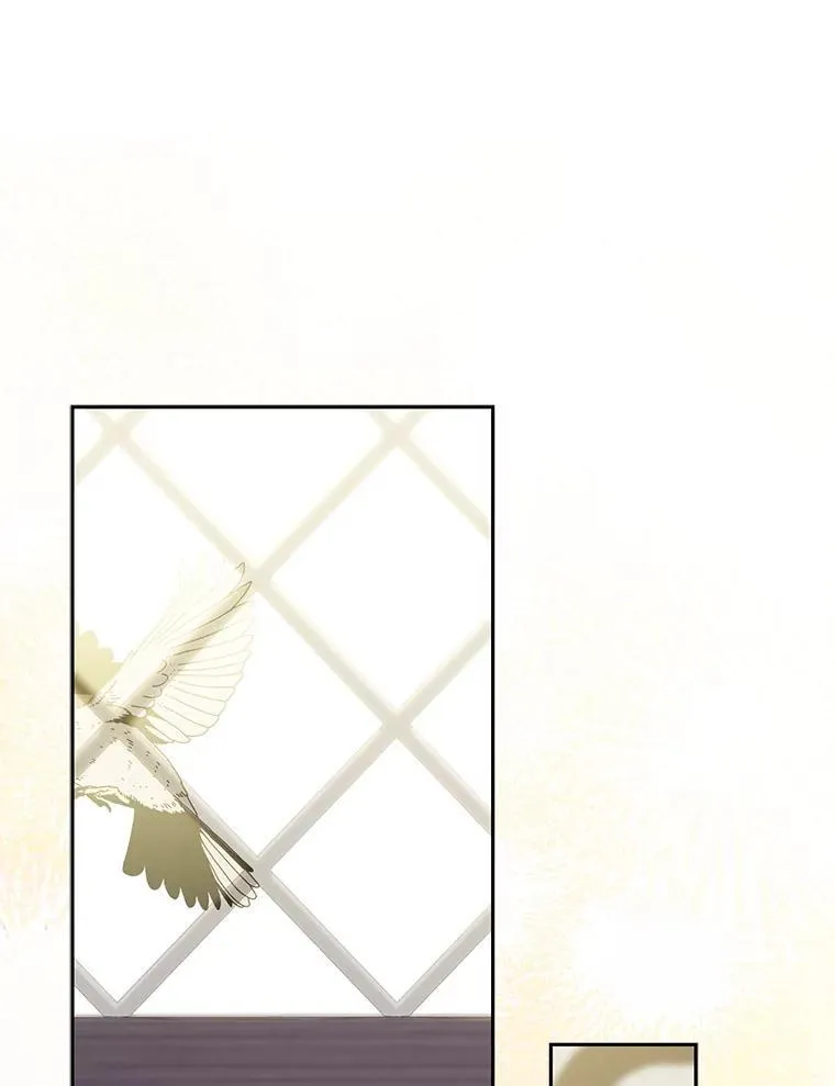 50.苍暮白雨（本季完）46