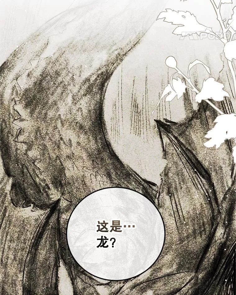 76.受重伤（本季完）17